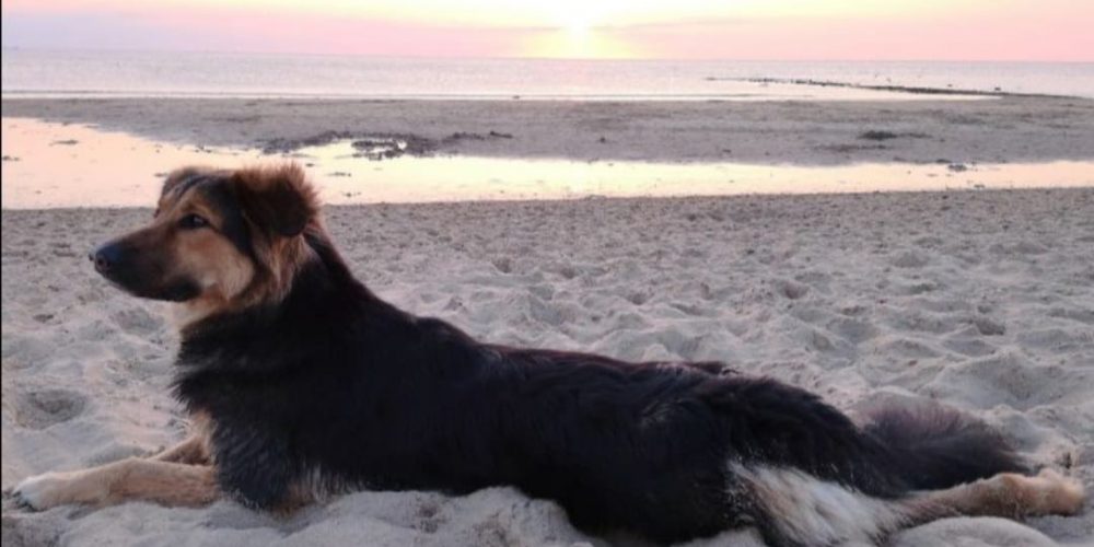 WhatsApp Image 2024-05-14 at 16.28.19